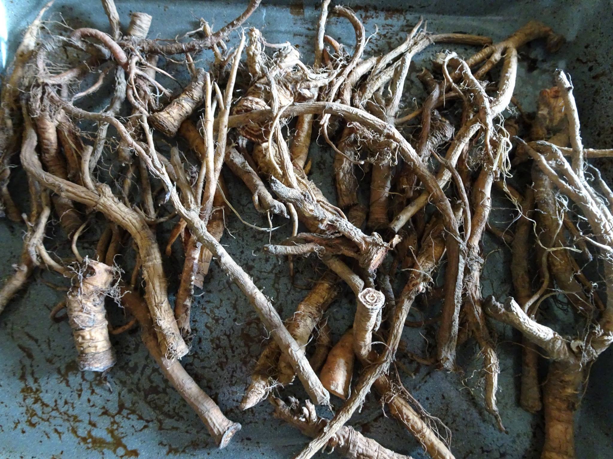 Decoction De Racines Comment préparer une décoction? | Last Guide