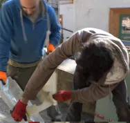 Comment capter l'énergie solaire pour l'eau chaude sanitaire ou le chauffage à haut rendement-lastguide-dégonder la porte.png