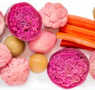 3 -Apprendre-Preparer-Survivre-Lacto-fermentation-en-10-etapes Last Guide.jpg