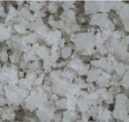 7 -Apprendre-Preparer-Survivre-Lacto-fermentation-en-10-etapes Last Guide.jpg