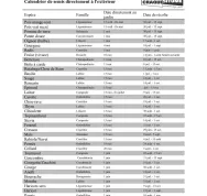 2- Calendrier des semis - Craque Bitume - Last Guide.jpg