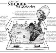 3- Vermicomposte - Craque Bitume - Last Guide.jpg