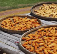 Quels sont les 5 techniques de séchage des aliments Last Guide 3.jpg