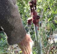 Toilette_s_che_liti_re_biomaitris_e_nettoyage_main Last Guide 11,3.jpg