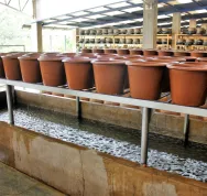 Comment créer un filtre à eau en céramique Last Guide 11,3.jpg