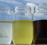 Comment faire de la lessive à base de cendre-LastGuide3.jpeg