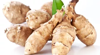 Quels légumes perpétuels avoir dans son jardin? Le topinambour