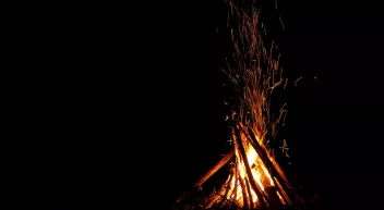 Comment allumer un feu en forêt?