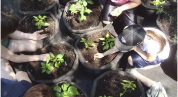 3-Comment planifier un jardin éducatif - Craque Bitume - Last Guide copie.jpg (83.19 Ko)