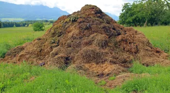 Comment .... Last Guide Crédit photo_ Antranias by Pixabay _0.jpg 