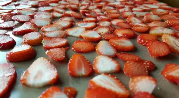 Comment sécher des fruits et des légumes? Last Guide