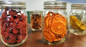 Comment stocker ses aliments séchés? Last Guide