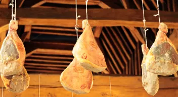 Quels sont les 5 techniques de séchage des aliments? Last Guide