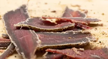 Quels viandes et poissons faire sécher et comment les valoriser en cuisine? Last Guide