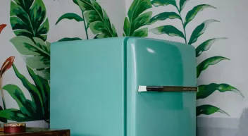 Comment créer une chambre froide dans votre habitat une réfrigération écologique solutionera.jpg (80.21 Ko)