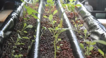 Comment construire son système de culture hydroponique-LastGuide1.jpeg 