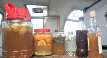 Comment fabriquer des boissons fermentées maison-LastGuide1.jpeg