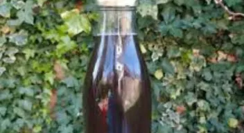 Comment faire de la lessive à base de lierre-LastGuide1.png 