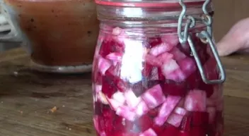 Comment faire des conserves lactofermentées-LastGuide1.jpeg 