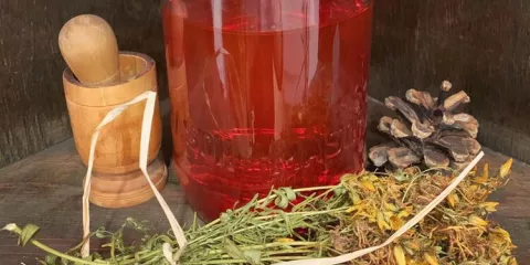 Comment concocter de l'huile de millepertuis ? 