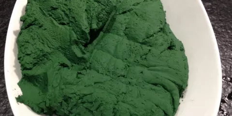 Comment cultiver de la spiruline? Last Guide