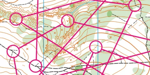 Comment établir un plan en cas de crise? Last Guide