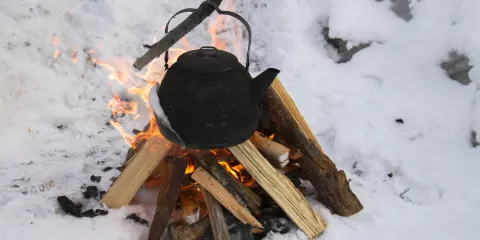 Comment allumer un feu sous la neige? Last Guide