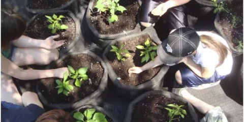 3-Comment planifier un jardin éducatif - Craque Bitume - Last Guide copie.jpg (83.19 Ko)