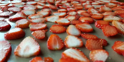 Comment sécher des fruits et des légumes? Last Guide