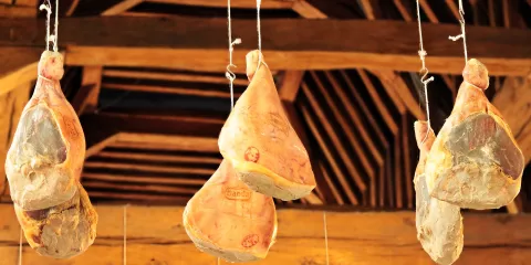 Quels sont les 5 techniques de séchage des aliments? Last Guide