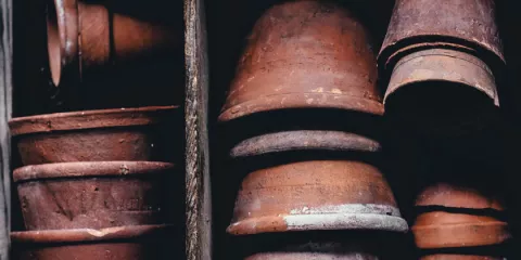 Comment conserver plus longtemps vos fruits et légumes solutionera.jpg (86 Ko)