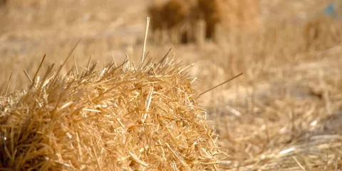 Comment construire une maison avec une isolation en paille solutionera.jpg (106.63 Ko) 