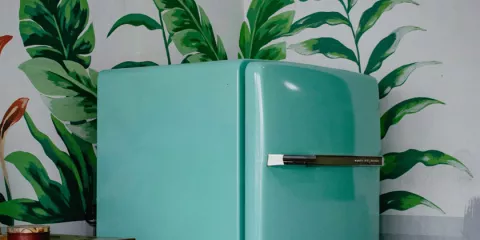 Comment créer une chambre froide dans votre habitat une réfrigération écologique solutionera.jpg (80.21 Ko)