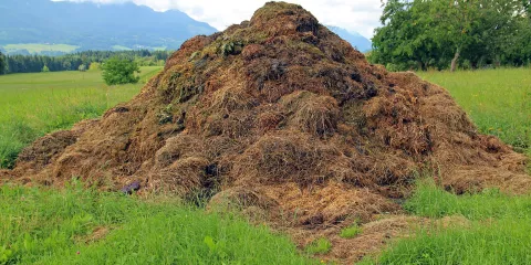 Comment monter une couche-LastGuide- Crédit photo_ Antranias by Pixabay .jpg 