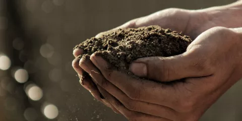 Comment renforcer son système immunitaire naturellement solutionera.jpg (74.43 Ko) 