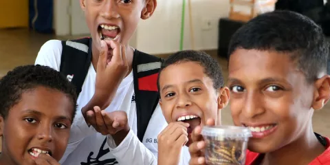 Comment élever des vers de farine Low Tech Lab.jpeg (119.27 Ko) 