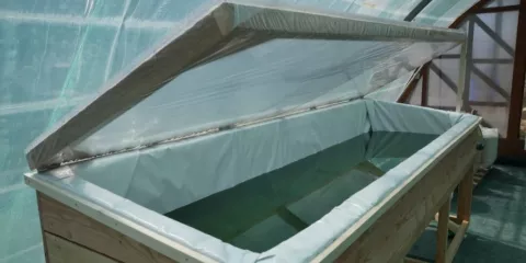 Comment construire un bassin de culture de spiruline-LastGuide1.jpeg 