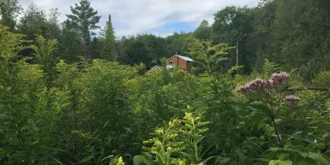 Comment devenir autonome en eau à travers la récupération d’eau de pluie solutionera.jpg (379.06 Ko)