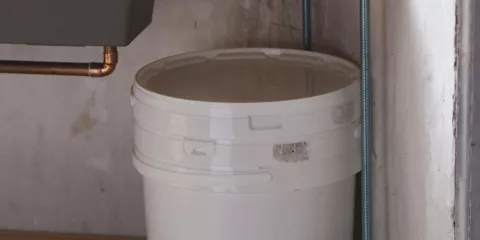 Comment fabriquer un Bokashi Chemins de faire19.jpeg (698.65 Ko)