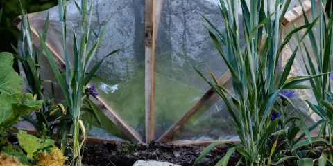 Comment fabriquer une mini serre pliante Chemin de faire26.jpeg (709.56 Ko)