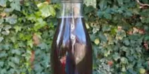 Comment faire de la lessive à base de lierre-LastGuide1.png 