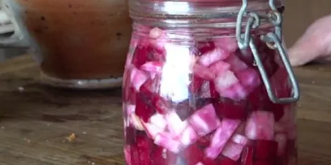 Comment faire des conserves lactofermentées-LastGuide1.jpeg 