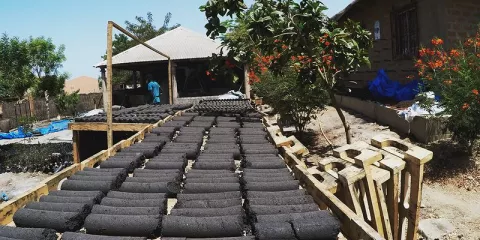 Comment faire du bio charbon-LastGuide1.jpeg