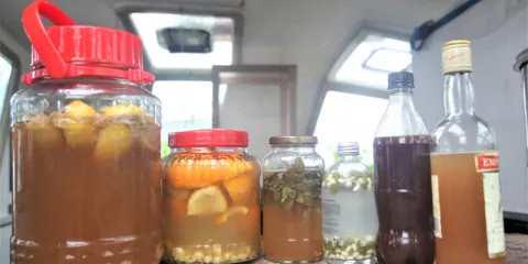 Comment faire son ginger ale:ginger beer-LastGuide1.jpeg