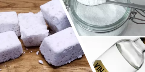 Comment faire un nettoyant à canalisation et à toilette-LastGuide1.png 