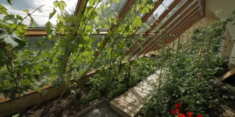 Comment favoriser l'autosuffisance alimentaire à l'aide d'une serre solutioera.jpg (181.48 Ko) 