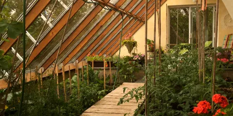 Comment parvenir à l'autonomie alimentaire avec les 4 saisons solutionera.jpg (784.53 Ko) 