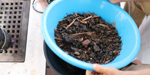 Comment produire un engrais organique Low-tech.jpeg (1.14 Mo)