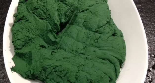 Comment cultiver de la spiruline? Last Guide