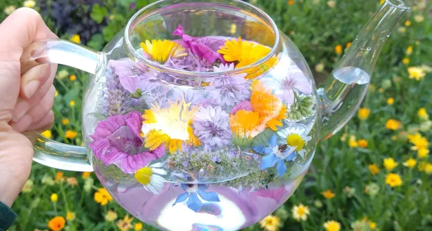 Comment préparer une macération?